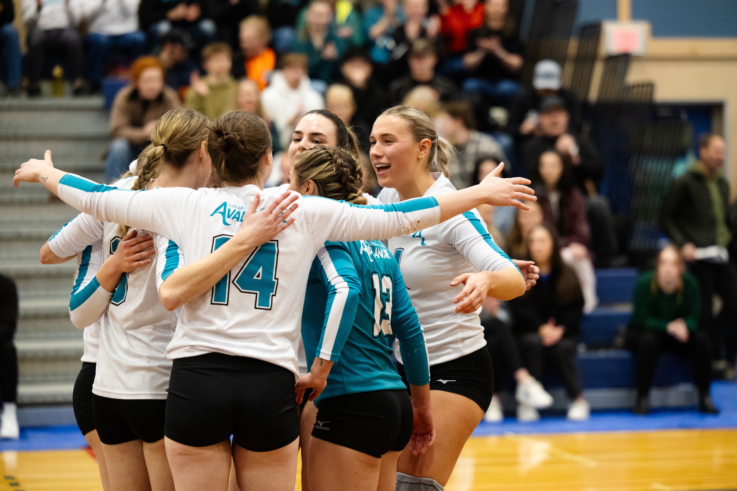 Women's Volleyball Avalanche Report: Week 8