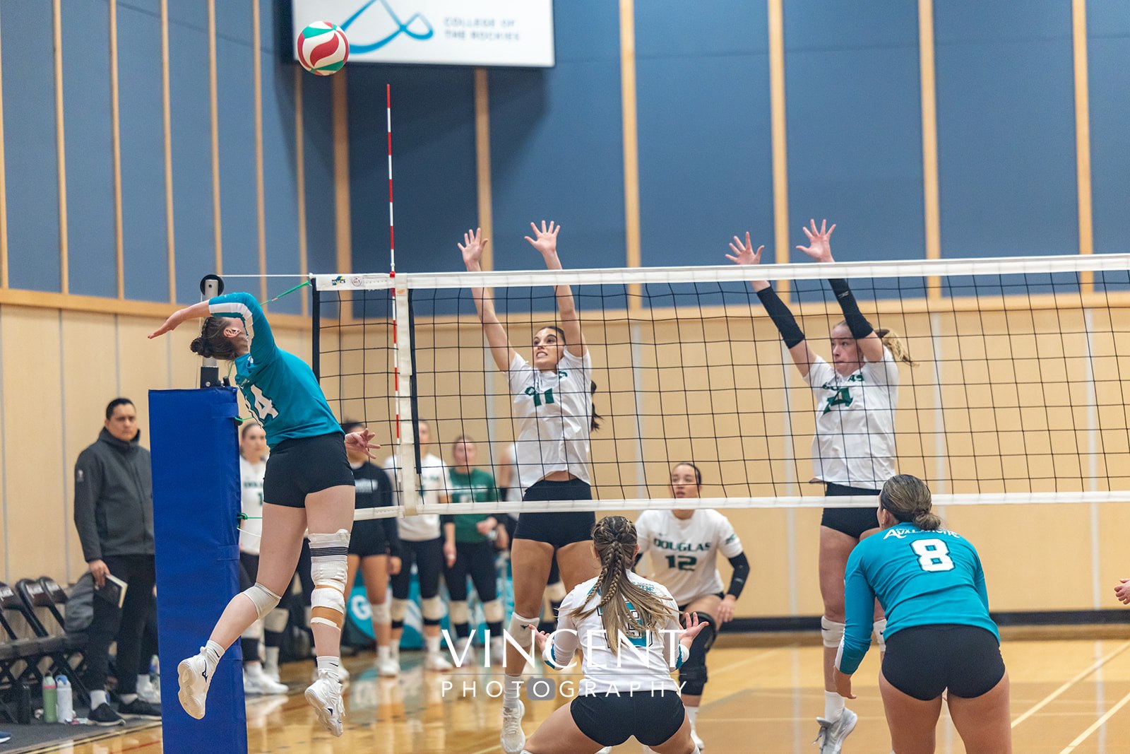 Women's Volleyball Avalanche Report: Week 13
